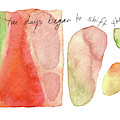And the days begain to shift their shapes.