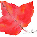 And we turned to dreaming leaves